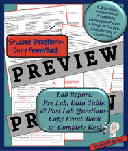 Load image into Gallery viewer, Chemistry Lab: Evidence of a Chemical Reaction