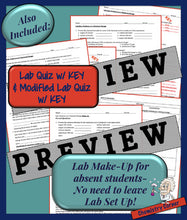 Load image into Gallery viewer, Chemistry Lab: Evidence of a Chemical Reaction