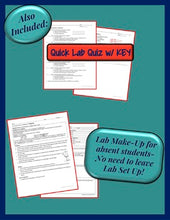 Load image into Gallery viewer, Chemistry Lab: Percent Water in a Hydrate