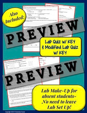 Load image into Gallery viewer, Chemistry Lab: Types of Chemical Reactions